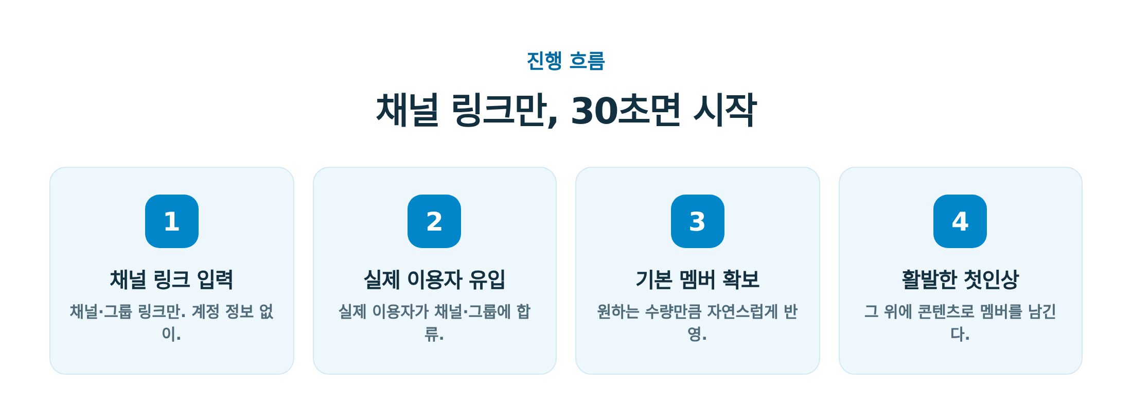 채널 링크 입력, 실제 이용자 유입, 멤버 수 확보, 활발한 첫인상까지 진행 흐름